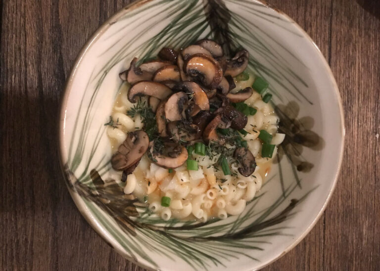 Vegan Mushroom Stroganoff