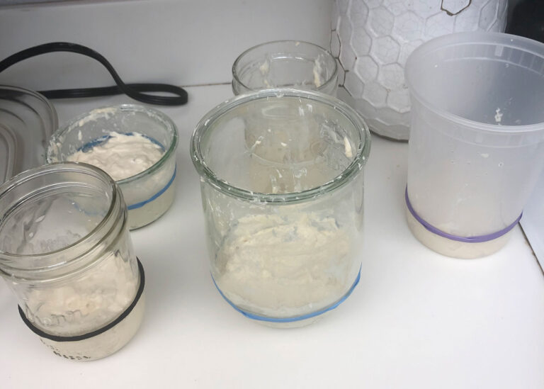 Sourdough Starter